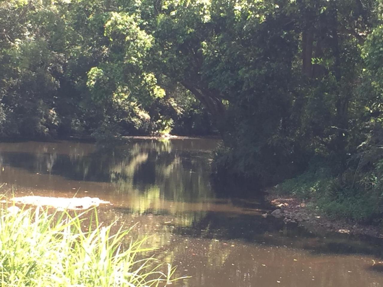 Yandina Caravan Park Eksteriør billede